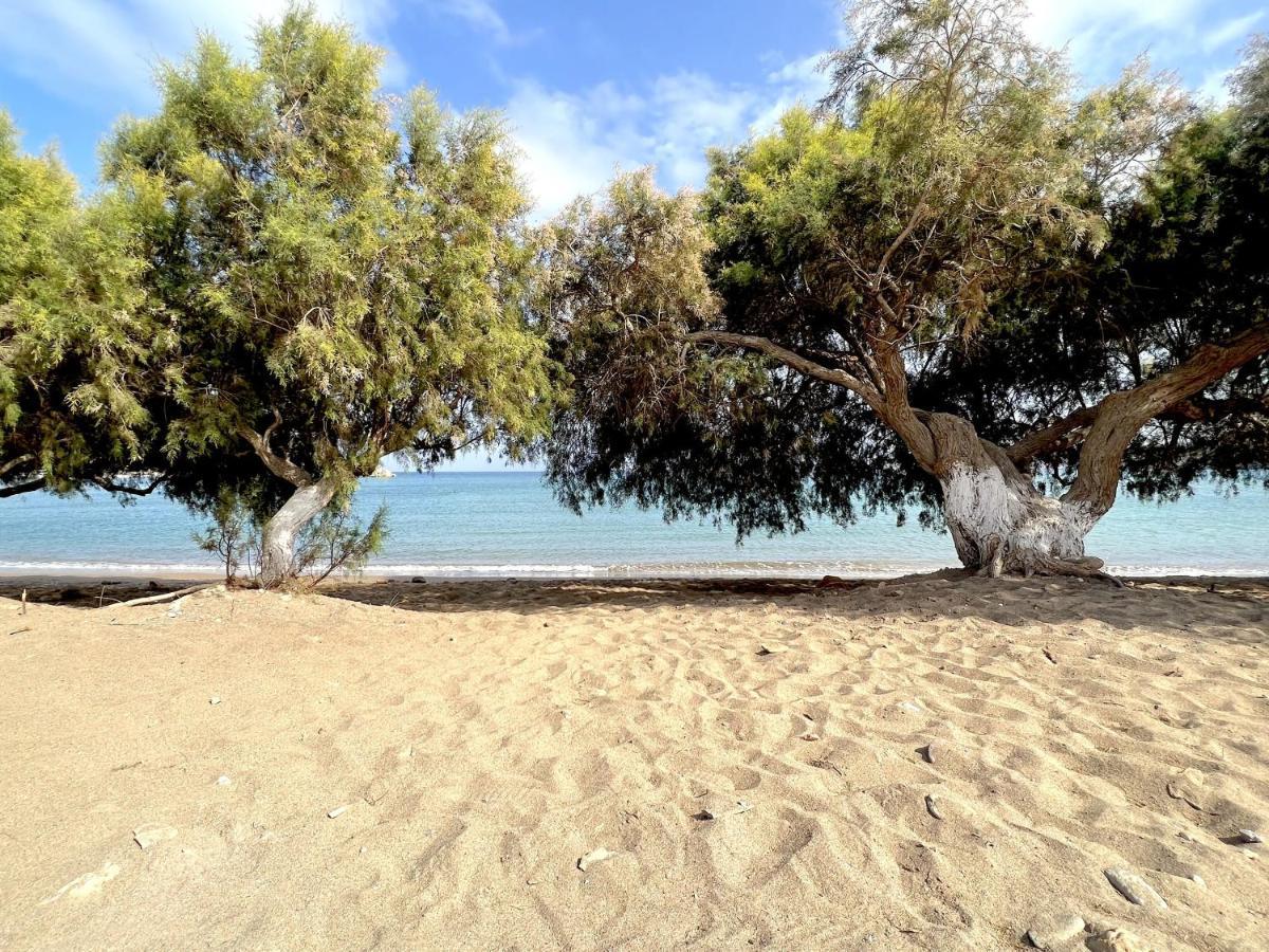 Studio At Beautiful Beach Kouremenos Apartment Anevato Luaran gambar