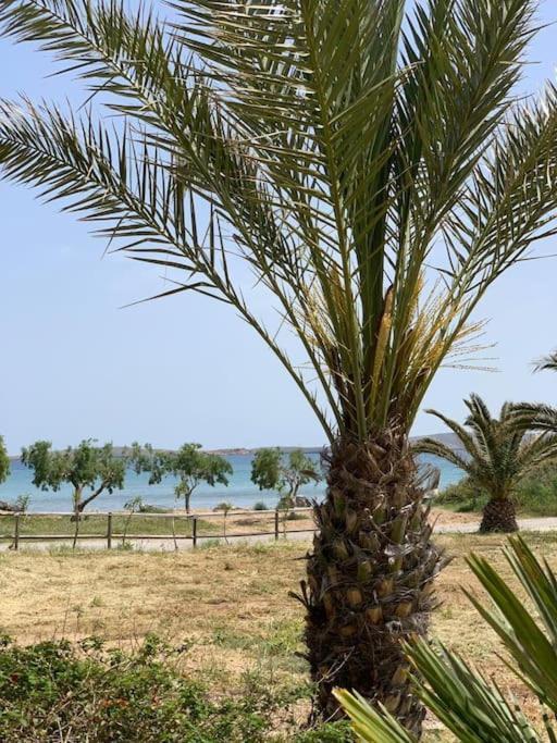 Studio At Beautiful Beach Kouremenos Apartment Anevato Luaran gambar