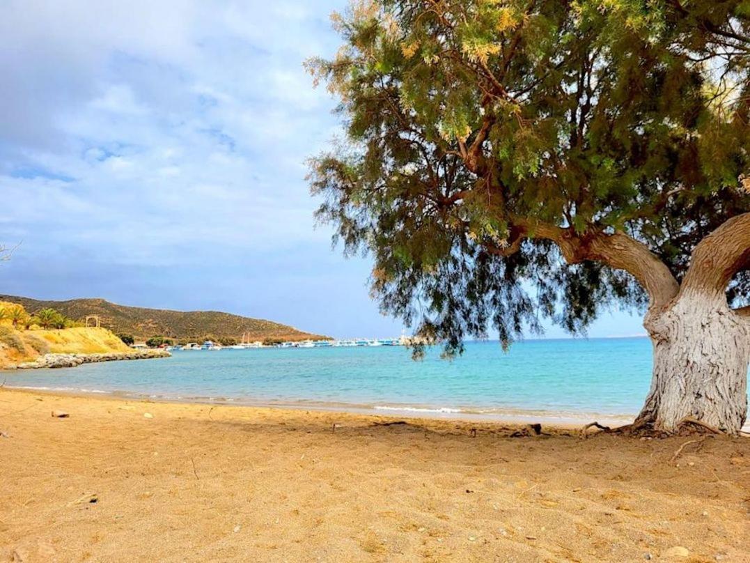 Studio At Beautiful Beach Kouremenos Apartment Anevato Luaran gambar